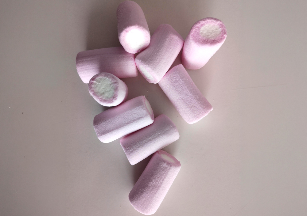 A Casa Marshmallow é os meninos pedidos