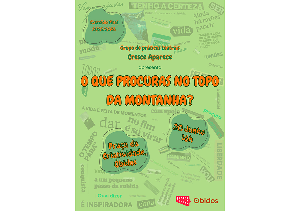 O-que-procuras-no-topo-da-montanha-